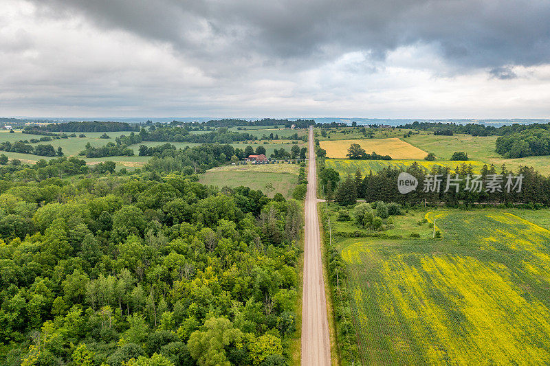 鸟瞰油菜籽田和乡村道路，Bradford West Gwillimbury，加拿大